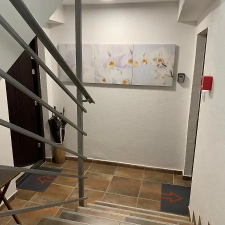 A6 * Novi Sad