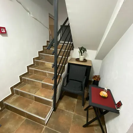 A6 * Novi Sad